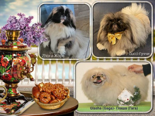 Прикрепленное изображение: post-1010-078034900 1719664576_thumb.jpg